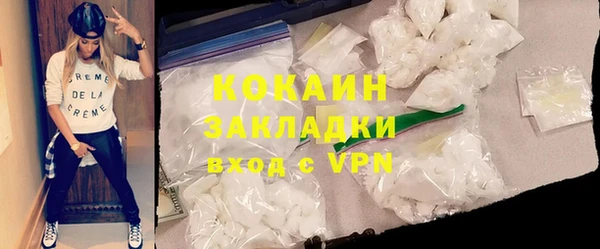 ГАЛЛЮЦИНОГЕННЫЕ ГРИБЫ Тавда