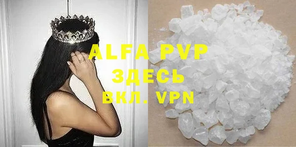 ГАЛЛЮЦИНОГЕННЫЕ ГРИБЫ Тавда
