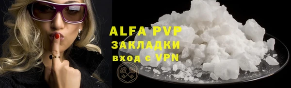 ГАЛЛЮЦИНОГЕННЫЕ ГРИБЫ Тавда