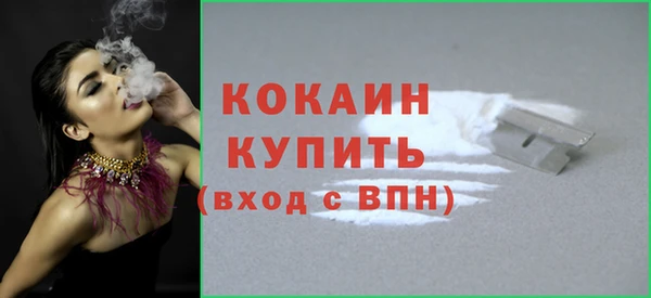 ГАЛЛЮЦИНОГЕННЫЕ ГРИБЫ Тавда