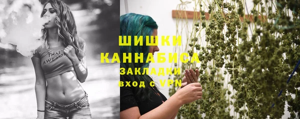 ГАЛЛЮЦИНОГЕННЫЕ ГРИБЫ Тавда