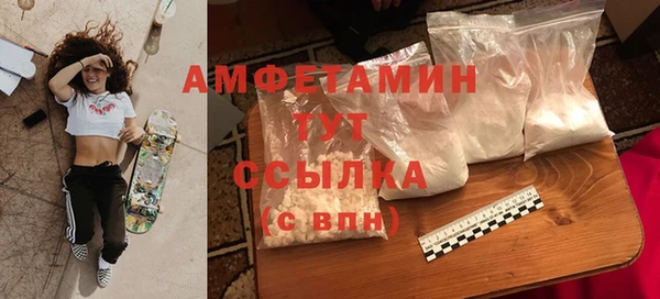 ГАЛЛЮЦИНОГЕННЫЕ ГРИБЫ Тавда